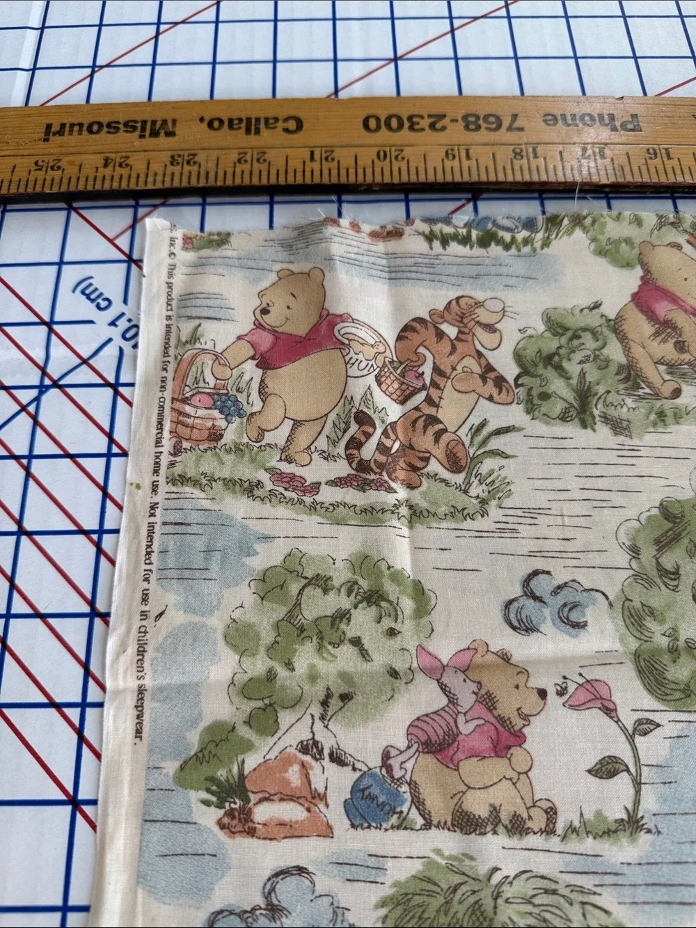 Vintage Disney Winnie the Pooh Day in the Park Fabric Springs 2/3 Yard
